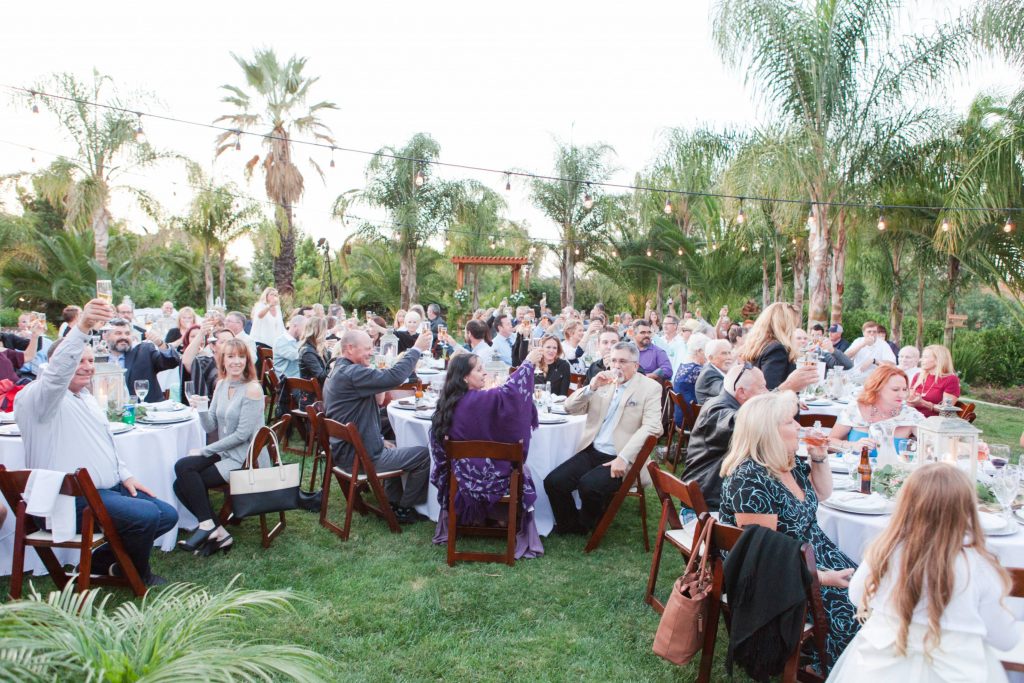 wedding reception cheers from guests Meadowview backyard wedding Carrie McGuire Temecula wedding Photography 