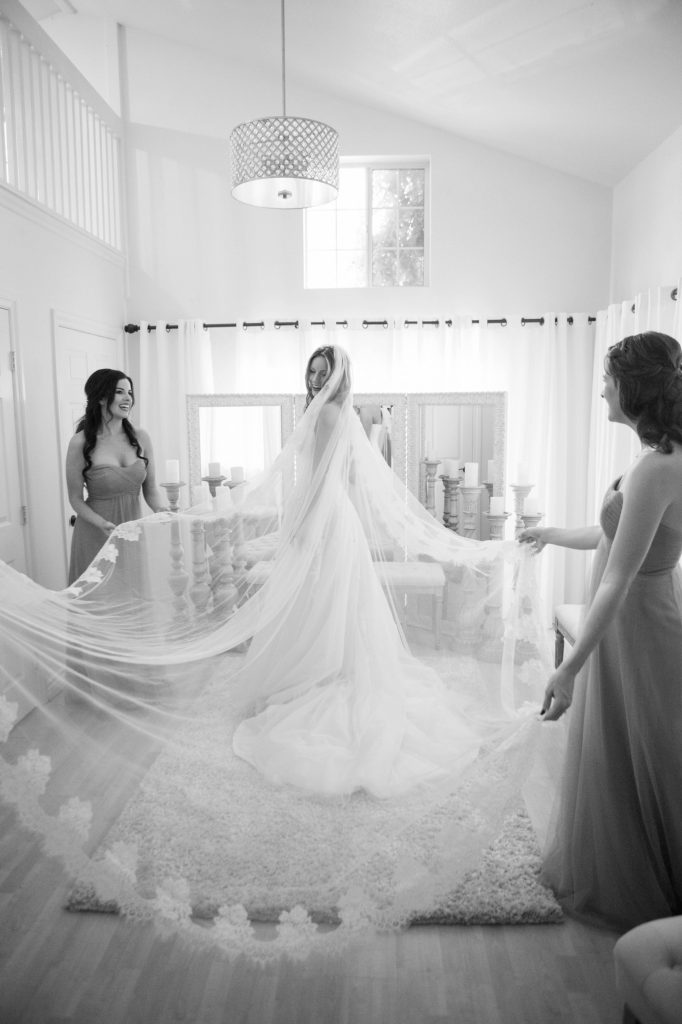 black and white photograph brides and bridesmaids beautiful veil forever and always farm temecula wedding engagement photography Carrie McGuire photographer california
