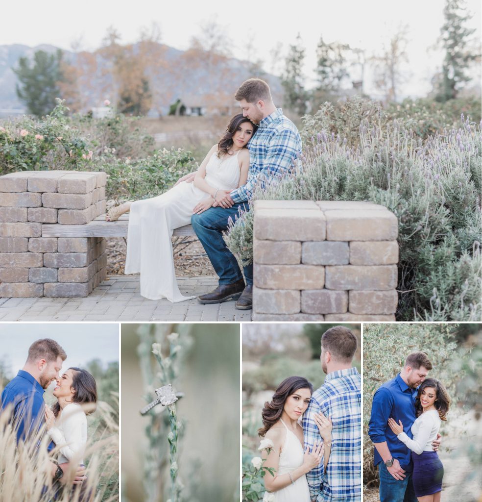 couple on bench in garden Temecula wedding and engagement photographer session rose heritage gardens California wedding engagement photography Carrie McGuire California