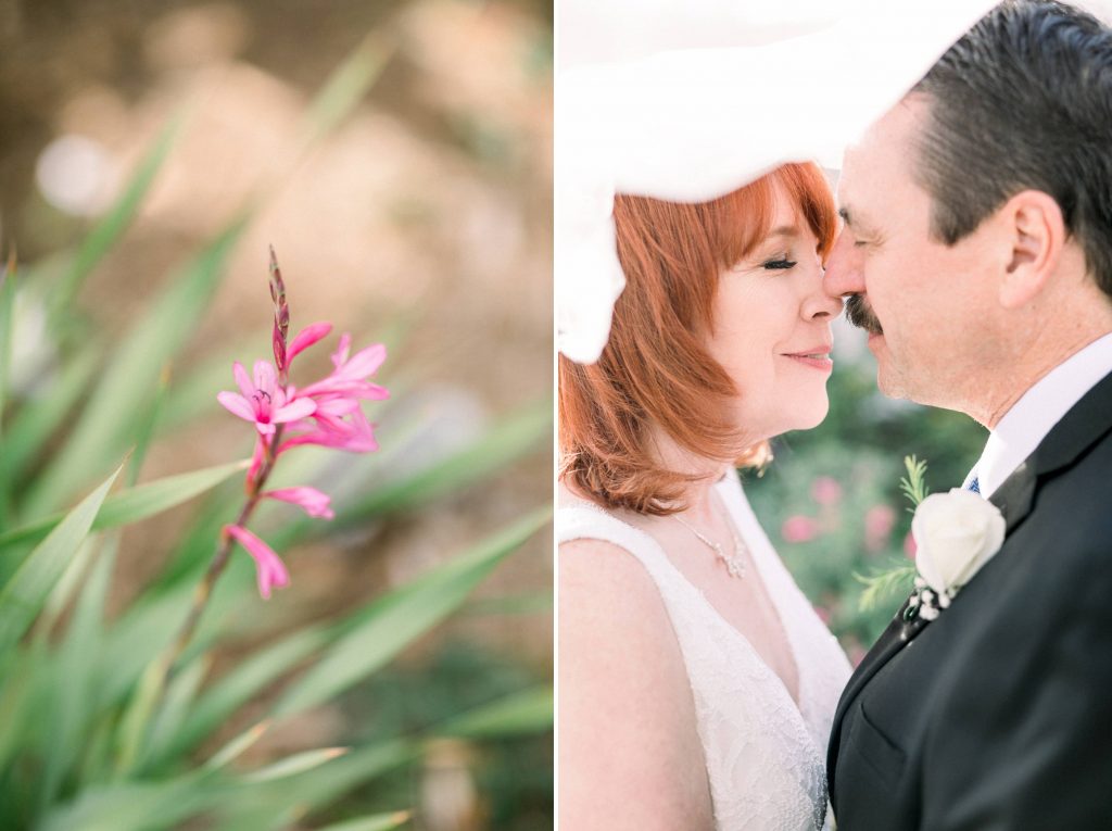 wildflowers and plants and bride and groom kissing under gorgeous veil Magee park wedding in Carlsbad California Cynthia and James wedding engagement photography Carrie McGuire photographer 