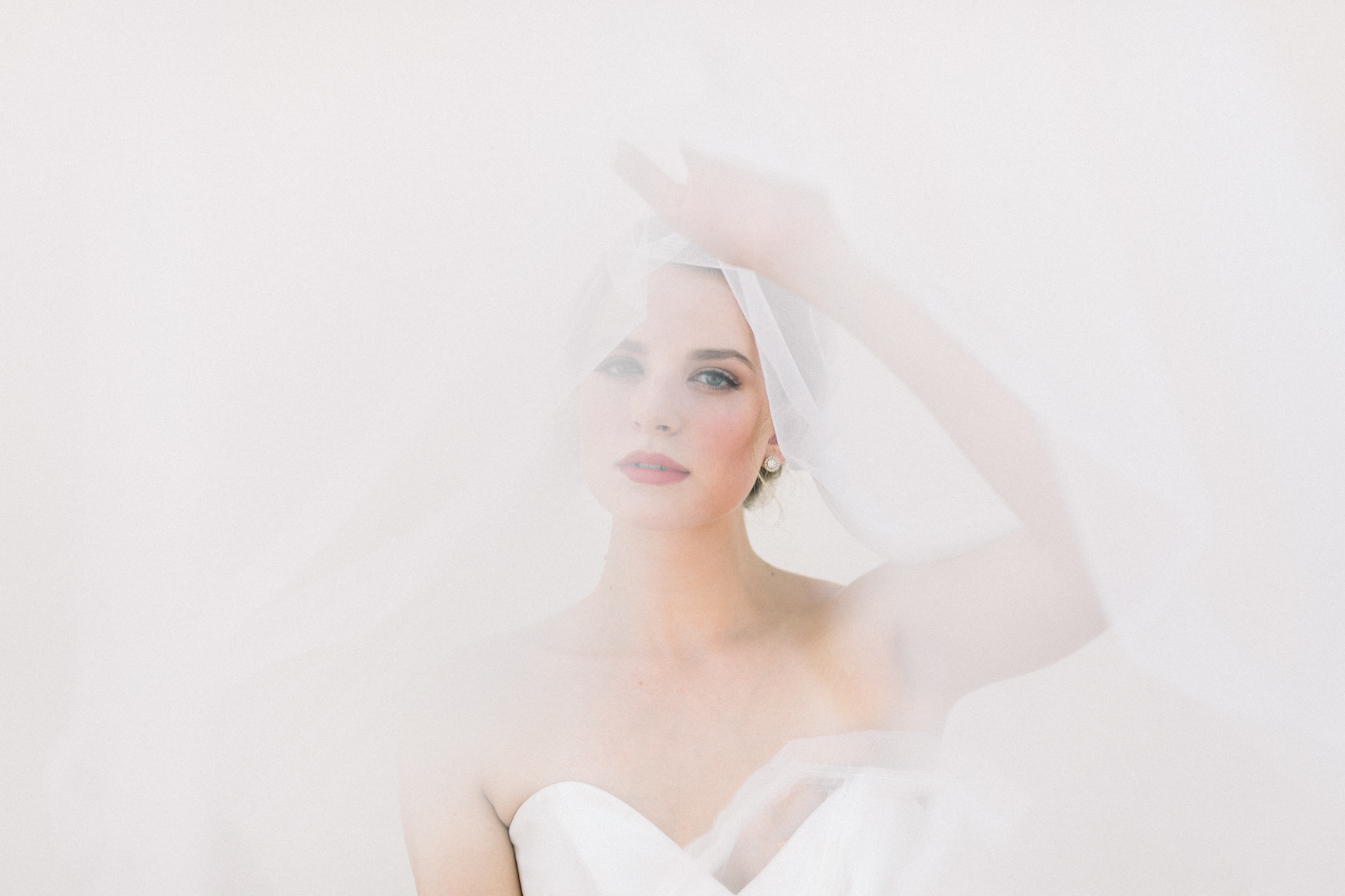 Bride under the veil photo at Ponte winery